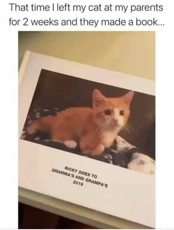 Unstoppable Waves Of Positivity