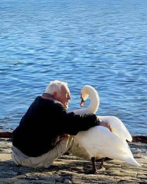 Unstoppable Waves Of Positivity