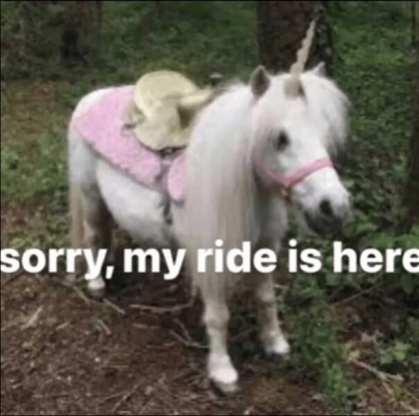 Funny Picdump Funny Picdump