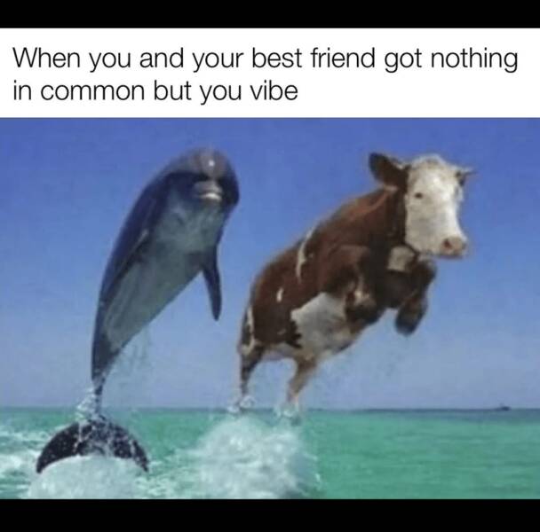 Funny Picdump Funny Picdump