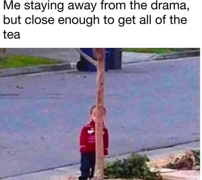 Funny Picdump Funny Picdump