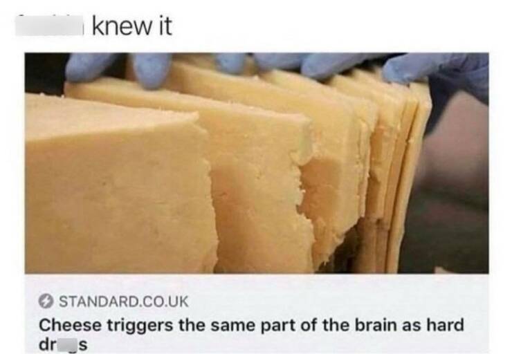 Funny Picdump Funny Picdump