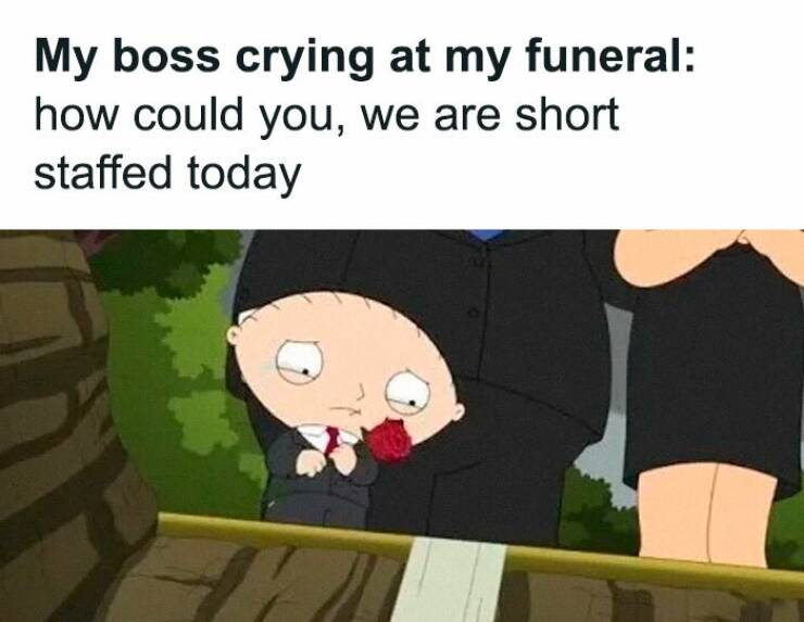 Hilarious Memes To Survive The Workweek