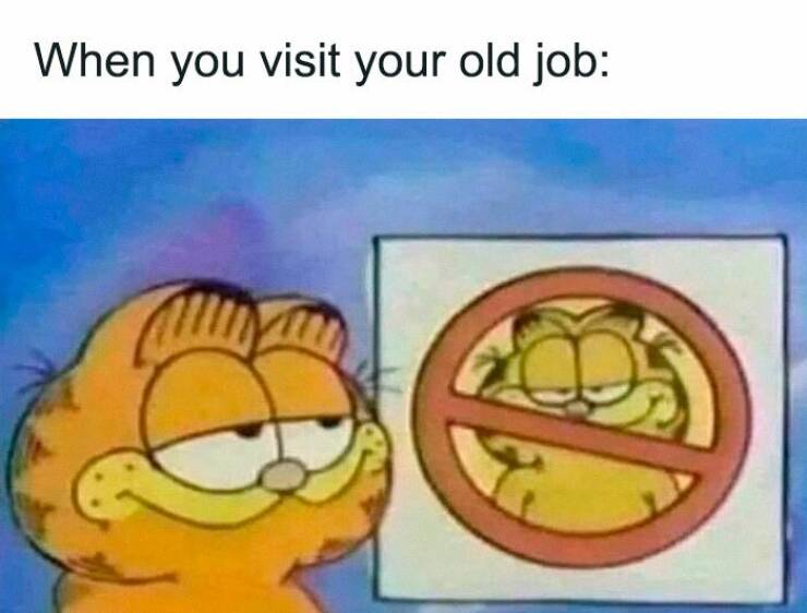 Hilarious Memes To Survive The Workweek