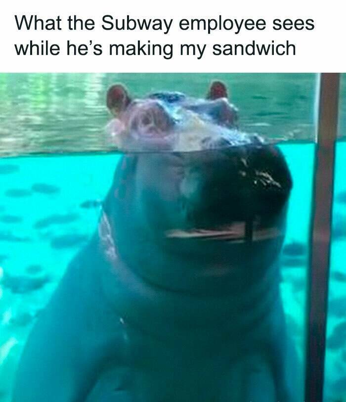 Hilarious Memes To Survive The Workweek