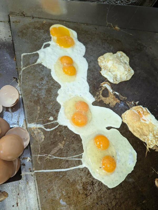 The Chaos And Comedy Of Working In The Service Industry