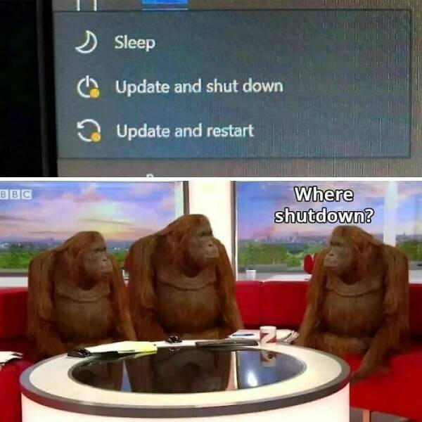 The Ultimate Programmer Meme Collection