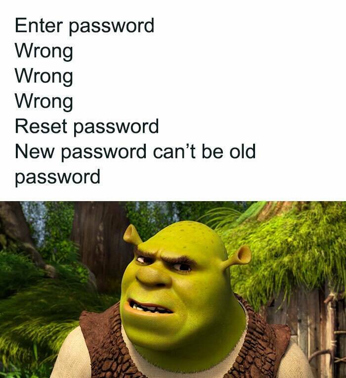 The Ultimate Programmer Meme Collection