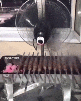 Daily Gifdump Daily Gifdump