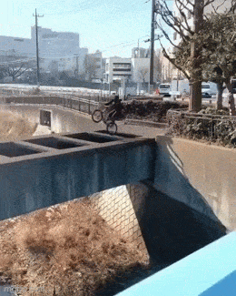 Daily Gifdump Daily Gifdump