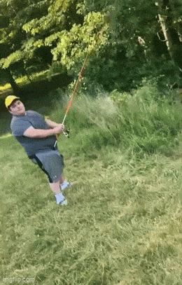 Daily Gifdump Daily Gifdump