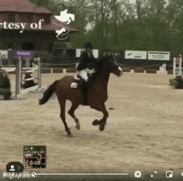 Daily Gifdump Daily Gifdump