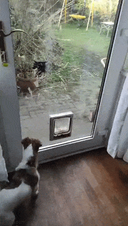 Daily Gifdump Daily Gifdump