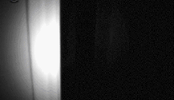 Terrifying Facts That Will Haunt Your Thoughts