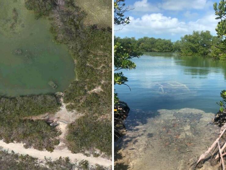 Google Maps Oddities That Left People Zooming In