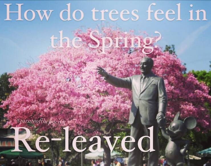 Hilarious Spring Memes To Welcome The Season