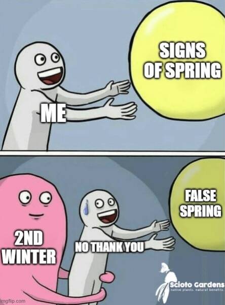 Hilarious Spring Memes To Welcome The Season