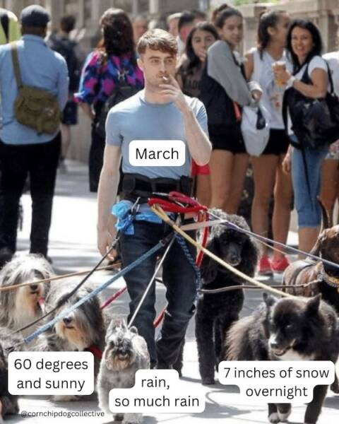 Hilarious Spring Memes To Welcome The Season