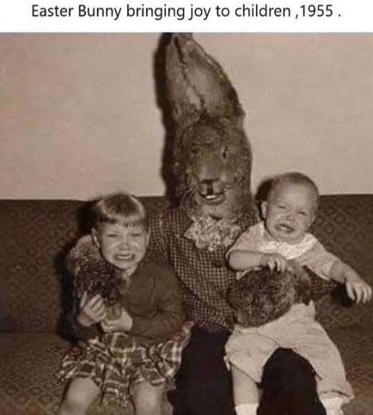 Hilarious Spring Memes To Welcome The Season