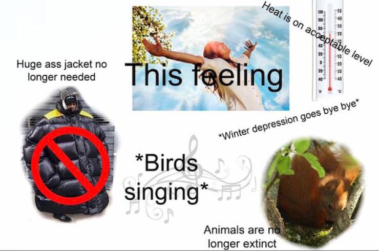 Hilarious Spring Memes To Welcome The Season