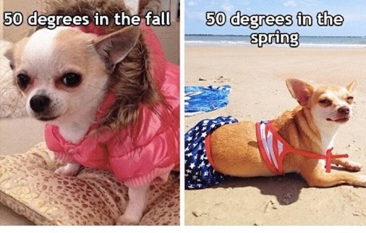 Hilarious Spring Memes To Welcome The Season