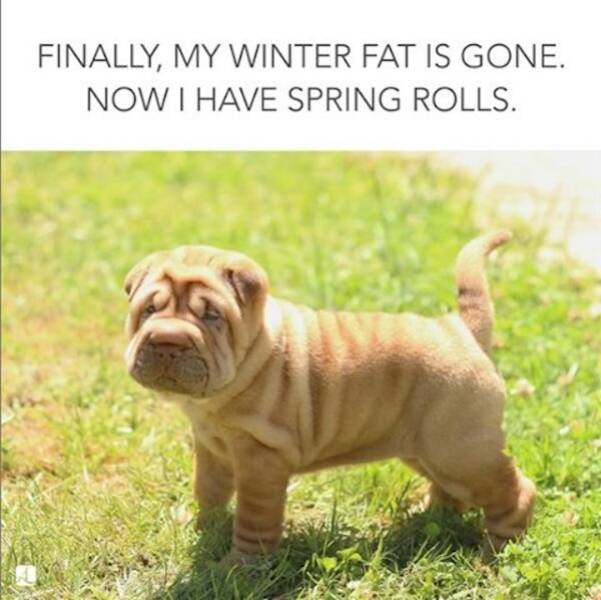 Hilarious Spring Memes To Welcome The Season
