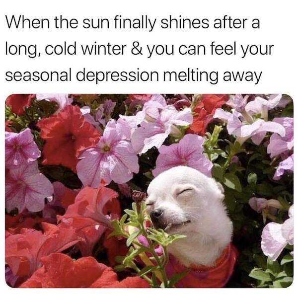 Hilarious Spring Memes To Welcome The Season
