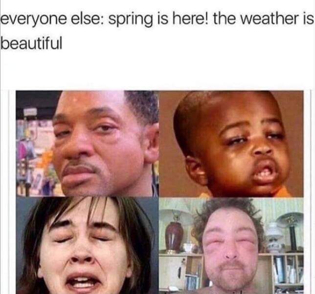 Hilarious Spring Memes To Welcome The Season