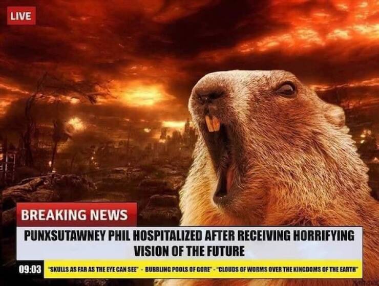 Hilarious Spring Memes To Welcome The Season