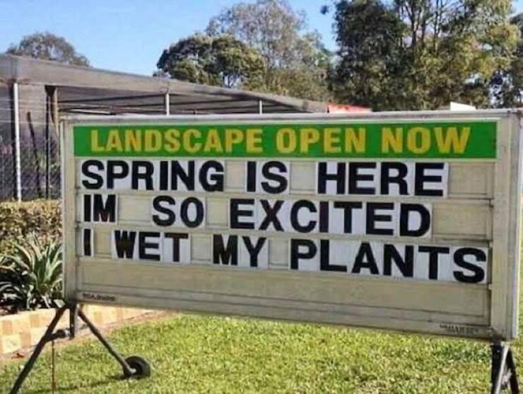 Hilarious Spring Memes To Welcome The Season