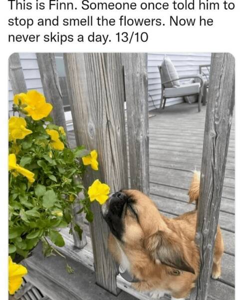 Hilarious Spring Memes To Welcome The Season (27 PICS) - Izismile.com