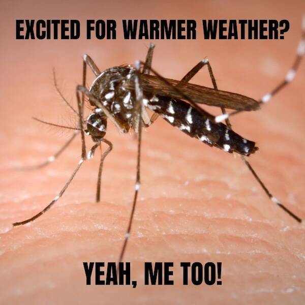 Hilarious Spring Memes To Welcome The Season