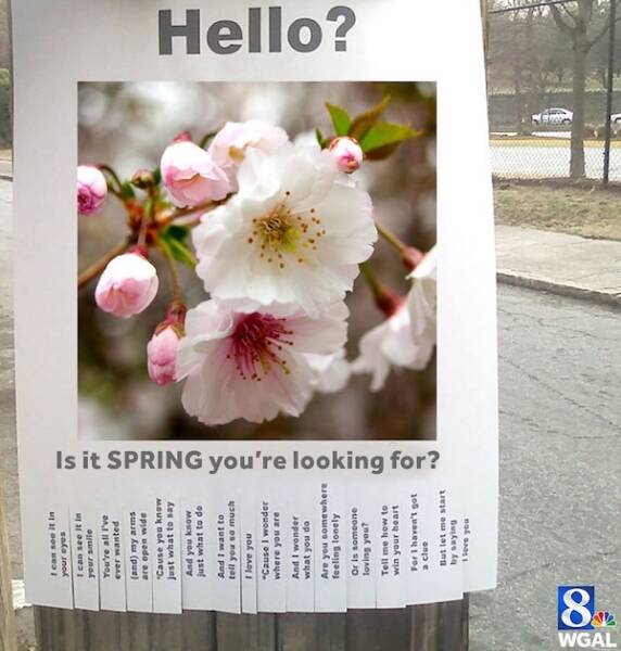 Hilarious Spring Memes To Welcome The Season