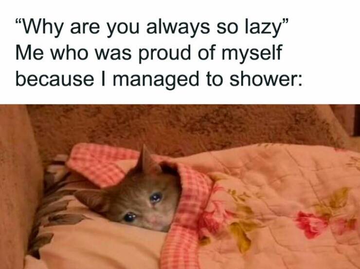 Social Battery Low? These Introvert Memes Get You