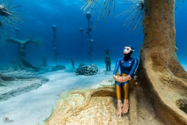 Surreal Images That Will Take You To Another World