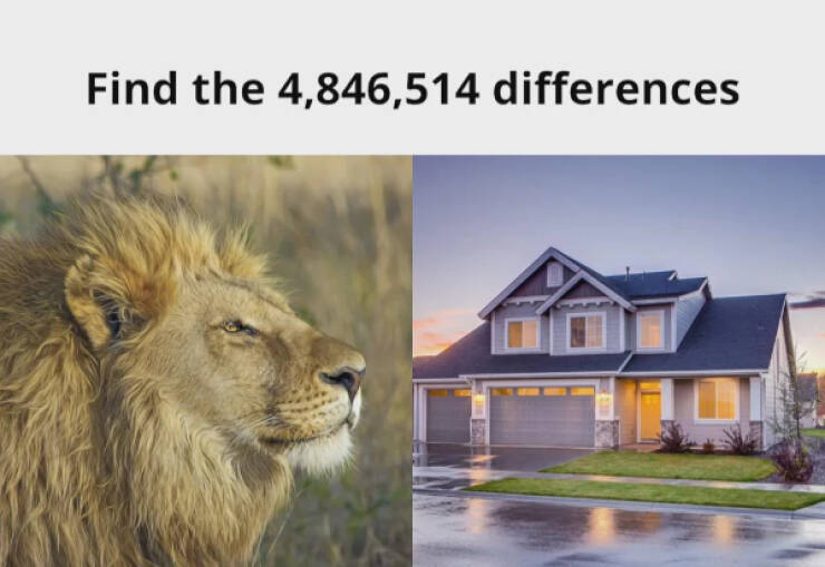 You Laugh, You Lose! Wanna Play? You Laugh, You Lose! Wanna Play?