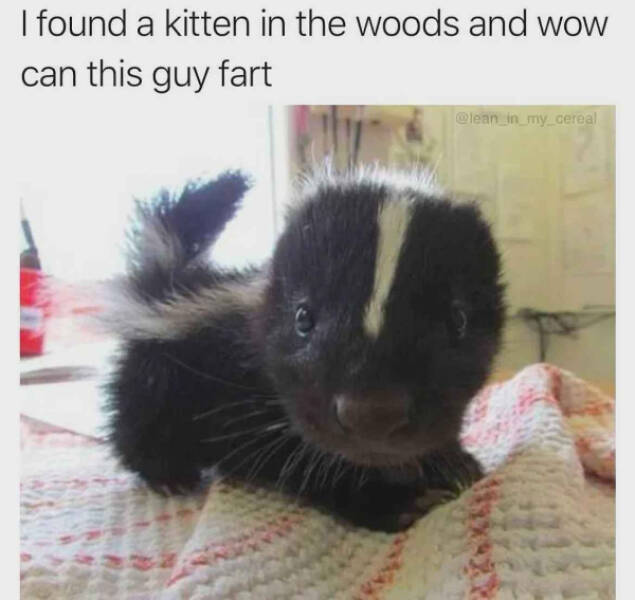 You Laugh, You Lose! Wanna Play?