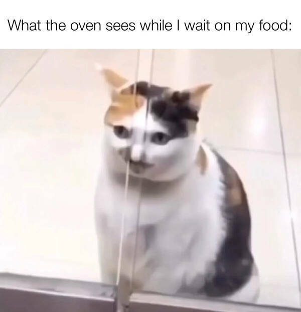 You Laugh, You Lose! Wanna Play? You Laugh, You Lose! Wanna Play?