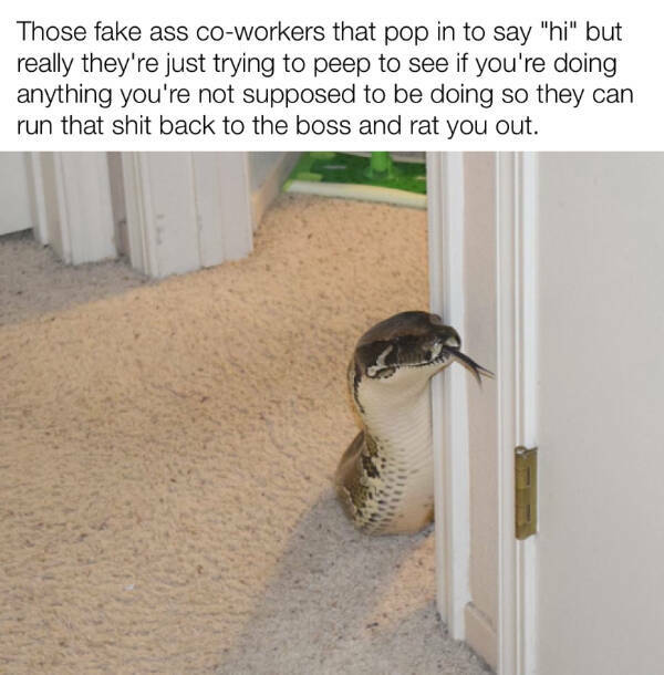 You Laugh, You Lose! Wanna Play?