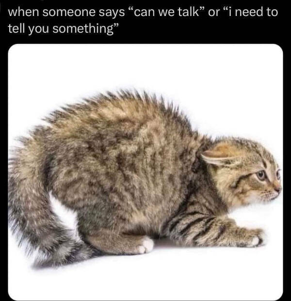 You Laugh, You Lose! Wanna Play?