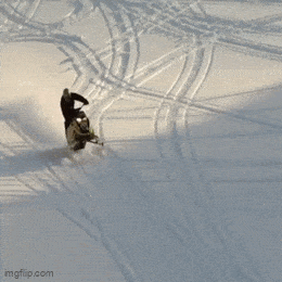 Daily Gifdump Daily Gifdump