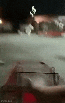 Daily Gifdump Daily Gifdump