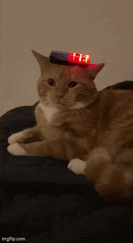 Daily Gifdump Daily Gifdump