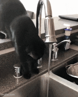 Daily Gifdump Daily Gifdump