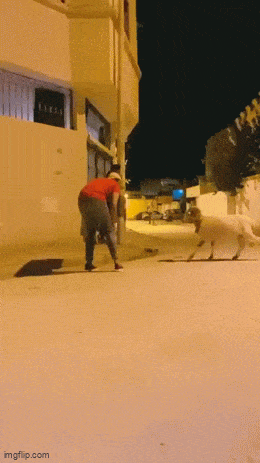 Daily Gifdump Daily Gifdump