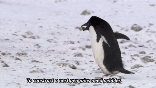 Random Facts To Share With Friends