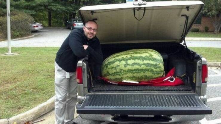 Daily Picdump Daily Picdump