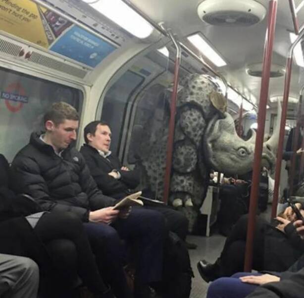 Daily Picdump Daily Picdump