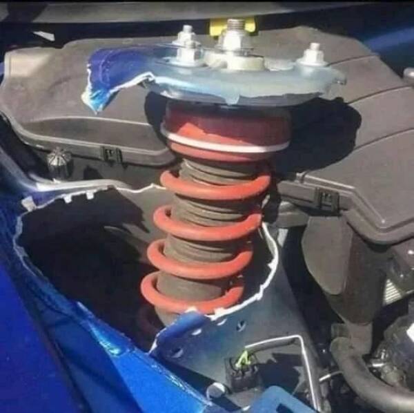 Daily Picdump Daily Picdump