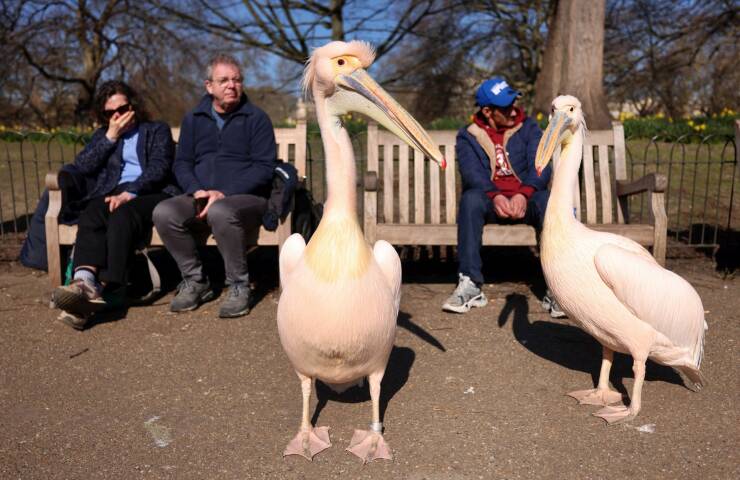 Daily Picdump Daily Picdump